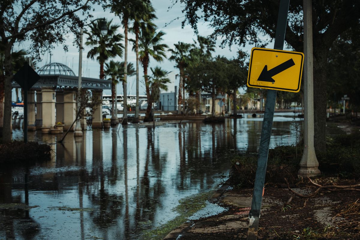 Flooded San Jose street lined with palm trees after a winter atmospheric river storm